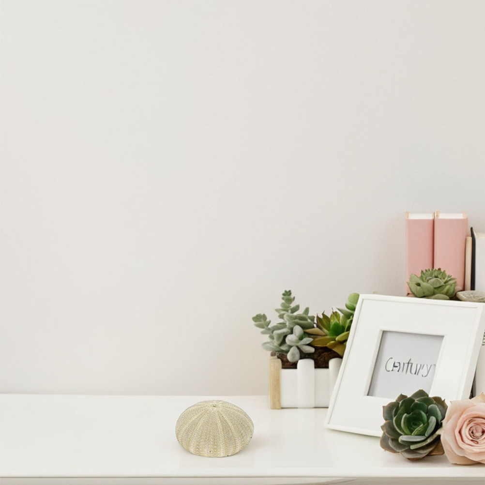 Art Craft Vase - 18 Adet Denizkabuğu Vazo Dolgusu Doğal