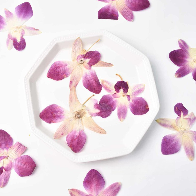4 adet, Gerçek Preslenmiş Kele - Art And Craft Photos incelemesi ve fiyatı
