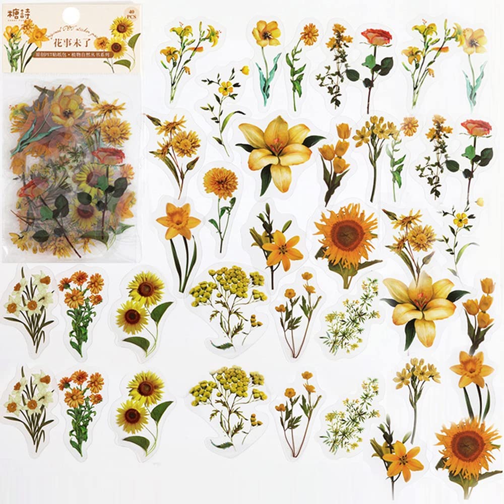 40 adet karalama defteri çıkar - Art And Craft Photos incelemesi ve fiyatı