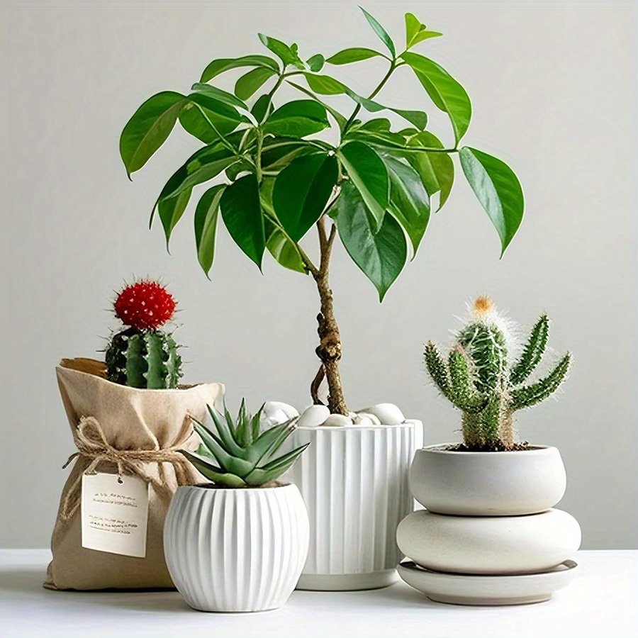 200/400g Beyaz Yüksek Parlaklı - Art Craft Vase incelemesi ve fiyatı